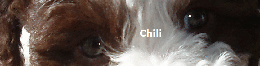 Chili