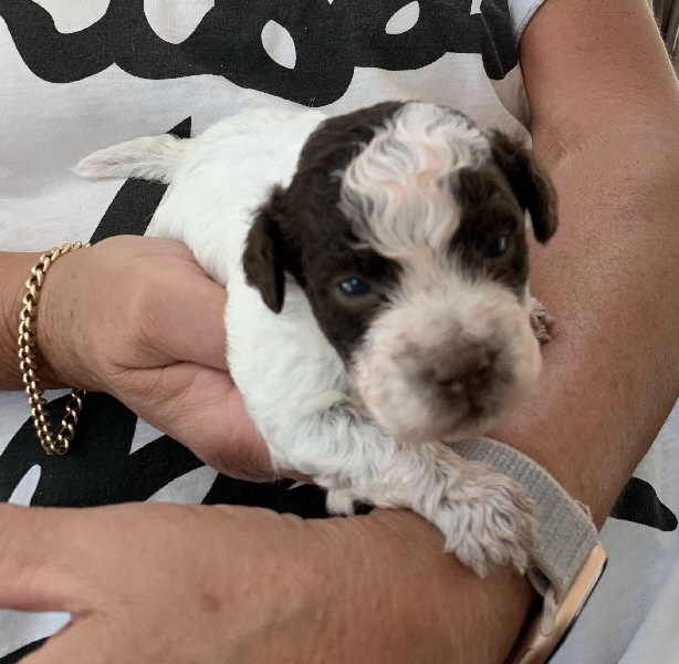 Candice  05.07.2020-Hand1