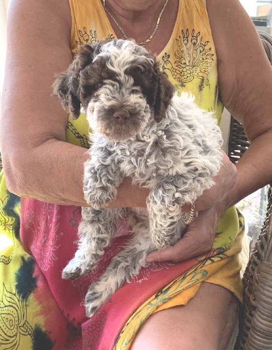 Candice  09.08.2020-Hand1