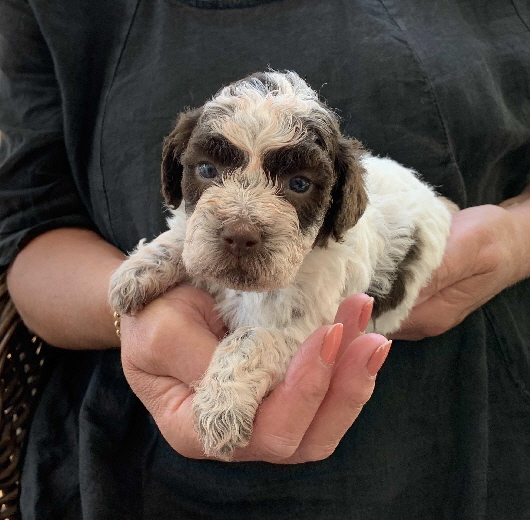 Candice  12.07.2020-Hand