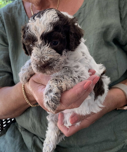 Candice  19.07.2020-Hand