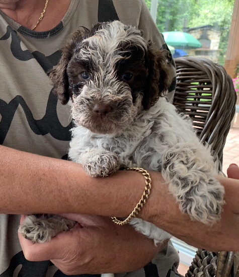 Candice  26.07.2020-Hand