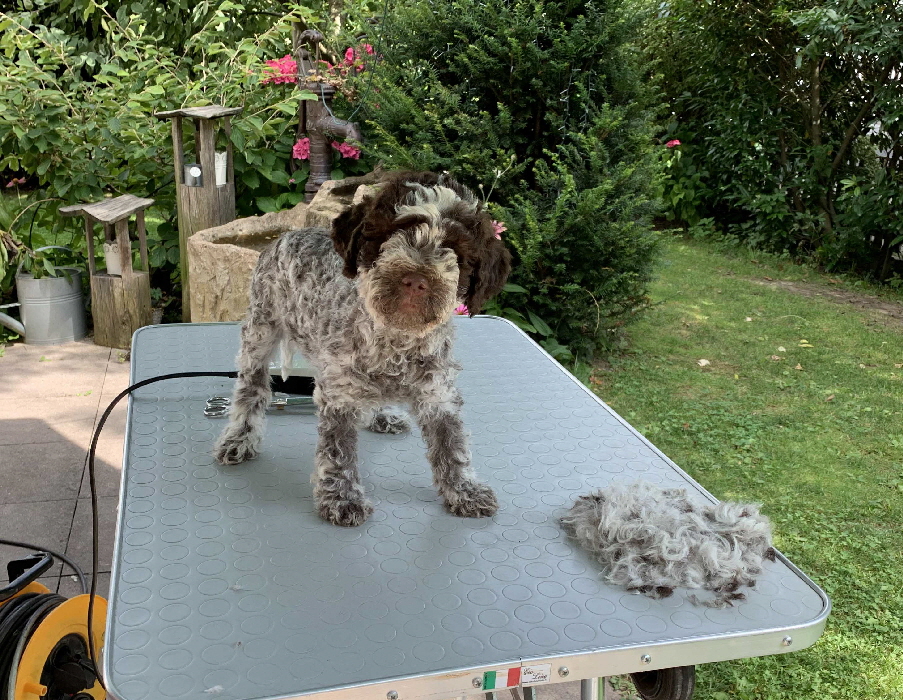 Candice 17.08.2020 Friseur nachher