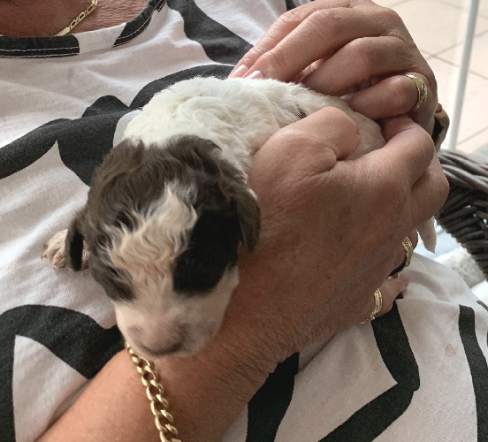 Candice 28.06.2020-Hand