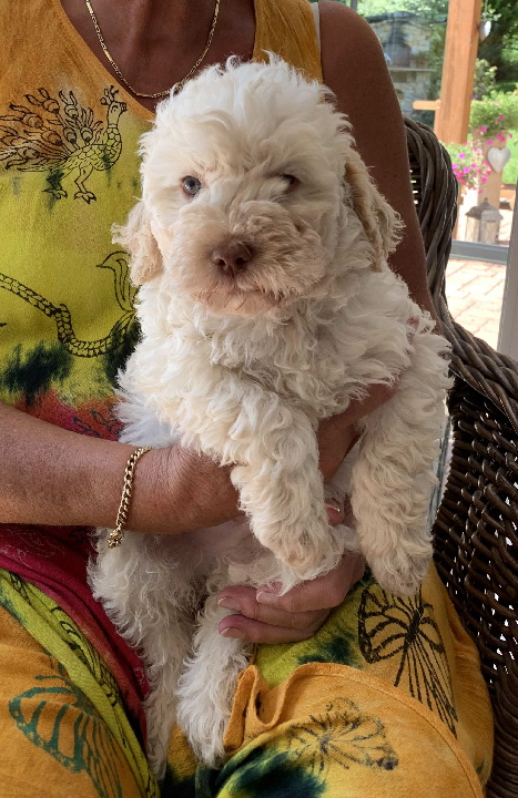 Capo 09.08.2020-Hand