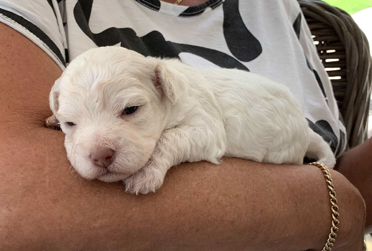 Chanel 05.07.2020-Hand