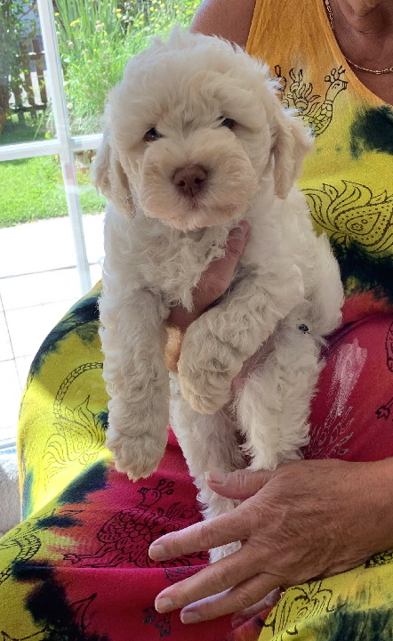 Chanel 09.08.2020-Hand