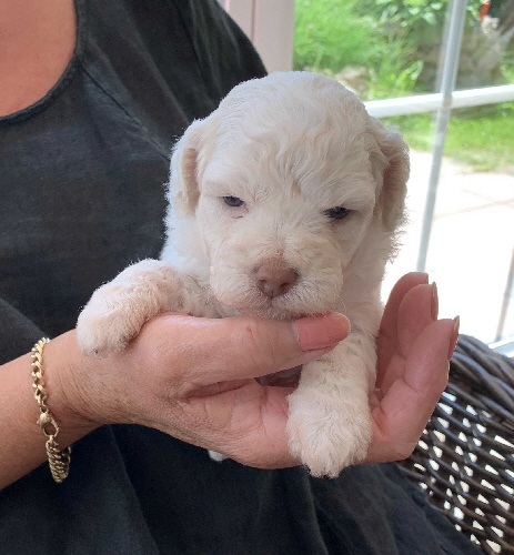 Chanel 12.07.2020-Hand