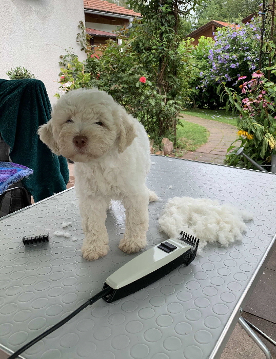 Chanel 13.08.2020 Friseur nachher