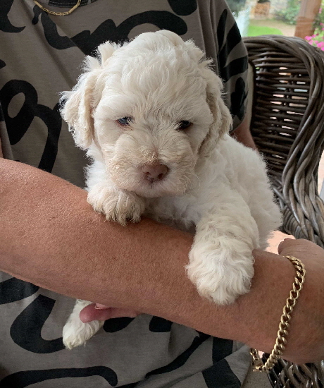 Chanel 26.07.2020-Hand