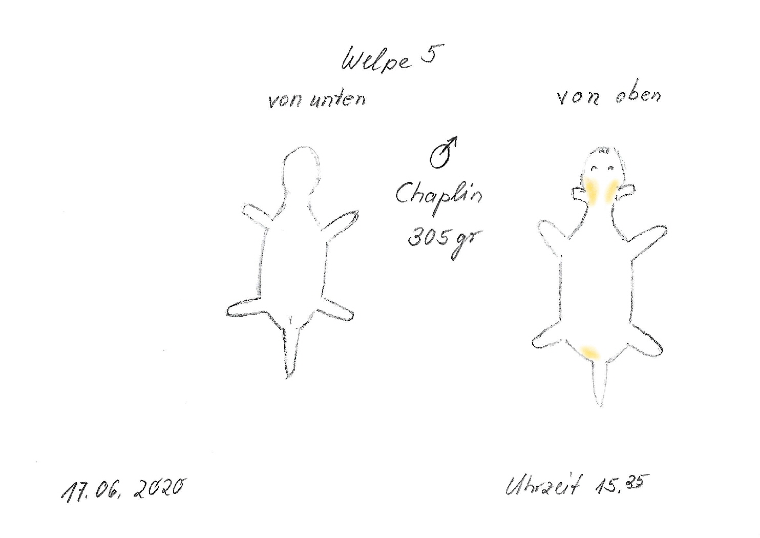 Chaplin Skizze Scan_LI